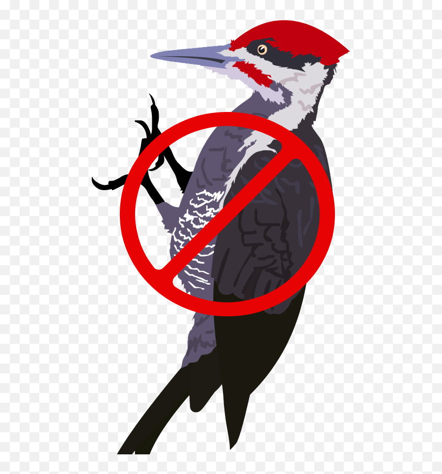 Which Are Mixed In A Proprietary Ratio To Produce The - Woodpecker Png,Woodpecker Png