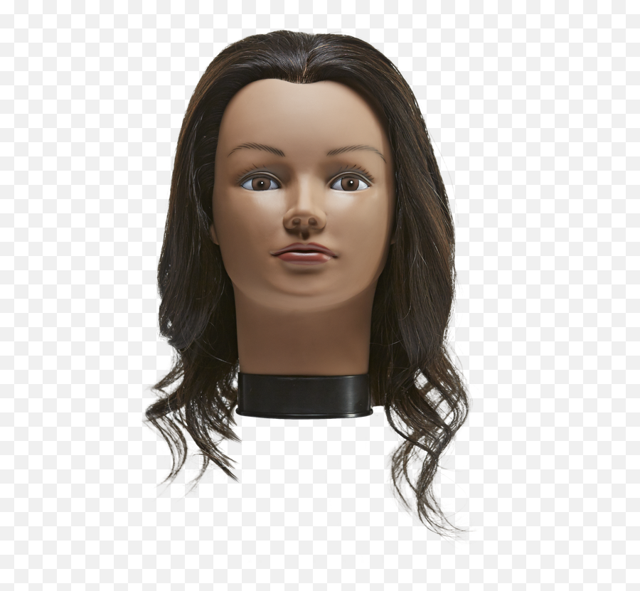 Download Mannequin Head - Mannepuin Hair Doll Png,Mannequin Head Png