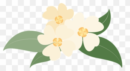 Free Yellow Flowers Vectors - png