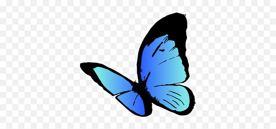 10 Free Butterfly Icon U0026 Vectors - Pixabay Gift Kupu Kupu Warna Biru Png,Butterfly Emoji Png