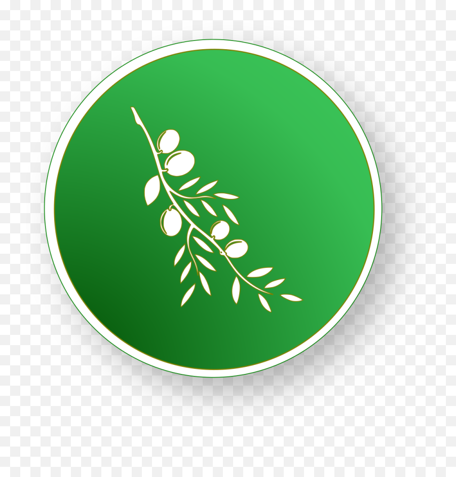 Vector Olive Icon Redesign Issue 429 - Editorolive Olive Editor Logo Png,Olive Branch Icon