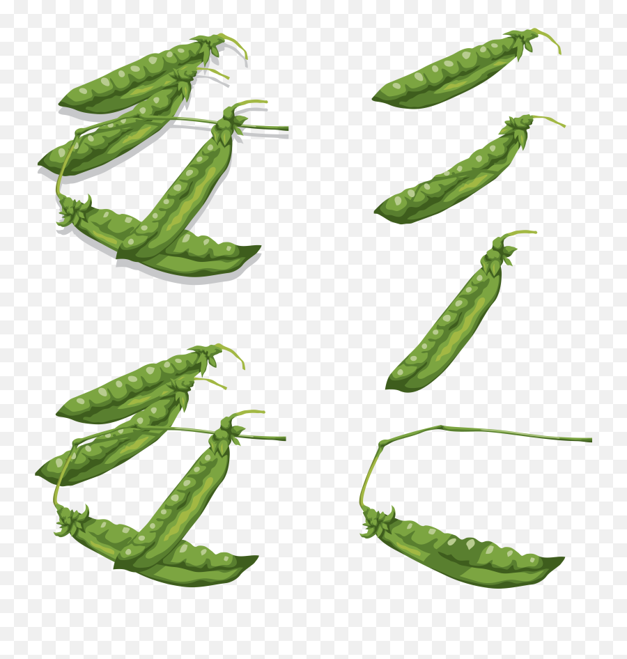 Bean Plant Png - Pea Green Beans Plant Leaves Foods Food Beans Flat Png Icon,Green Beans Png