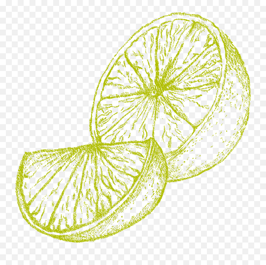 Organics By Red Bull Product U0026 Company - Sweet Lemon Png,Lime Wedge Icon