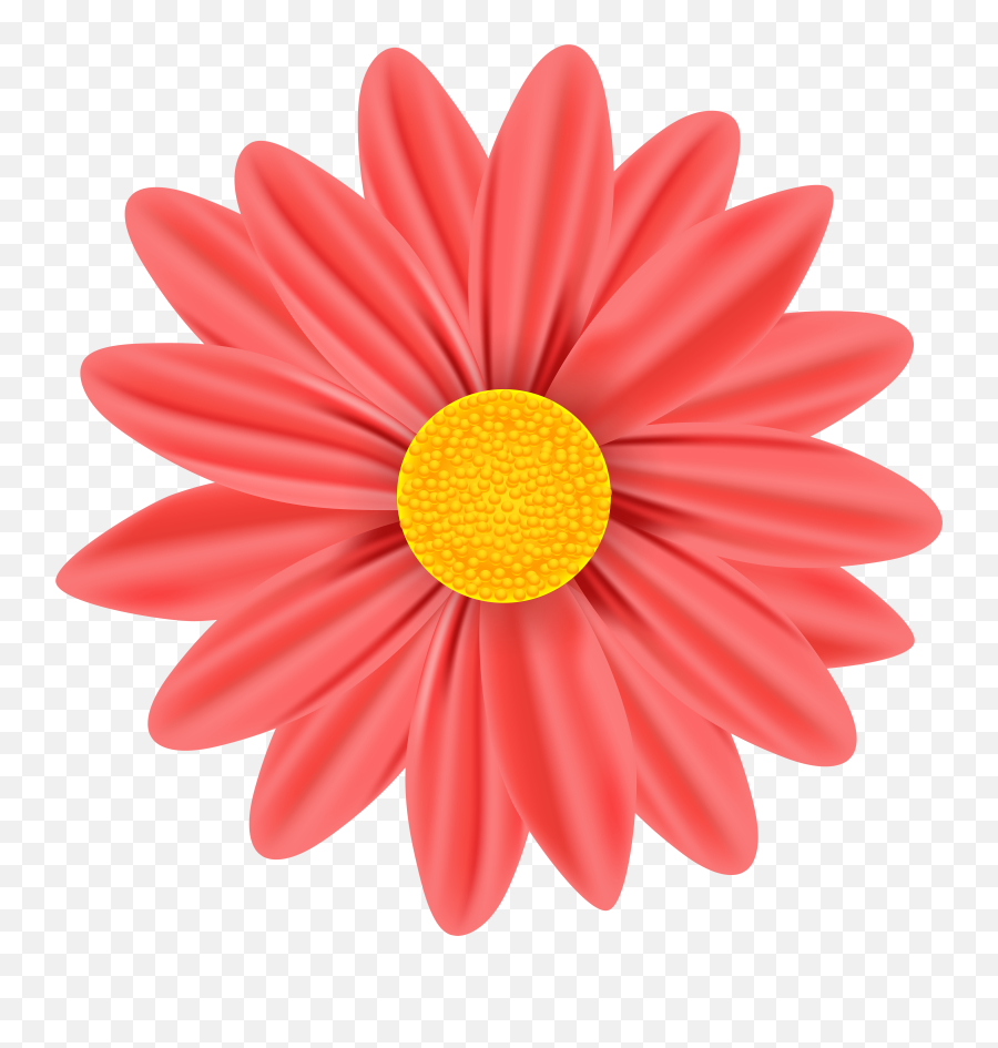 Cool Daisy Cliparts For Free - Clip Art Png,Transparent Daisy