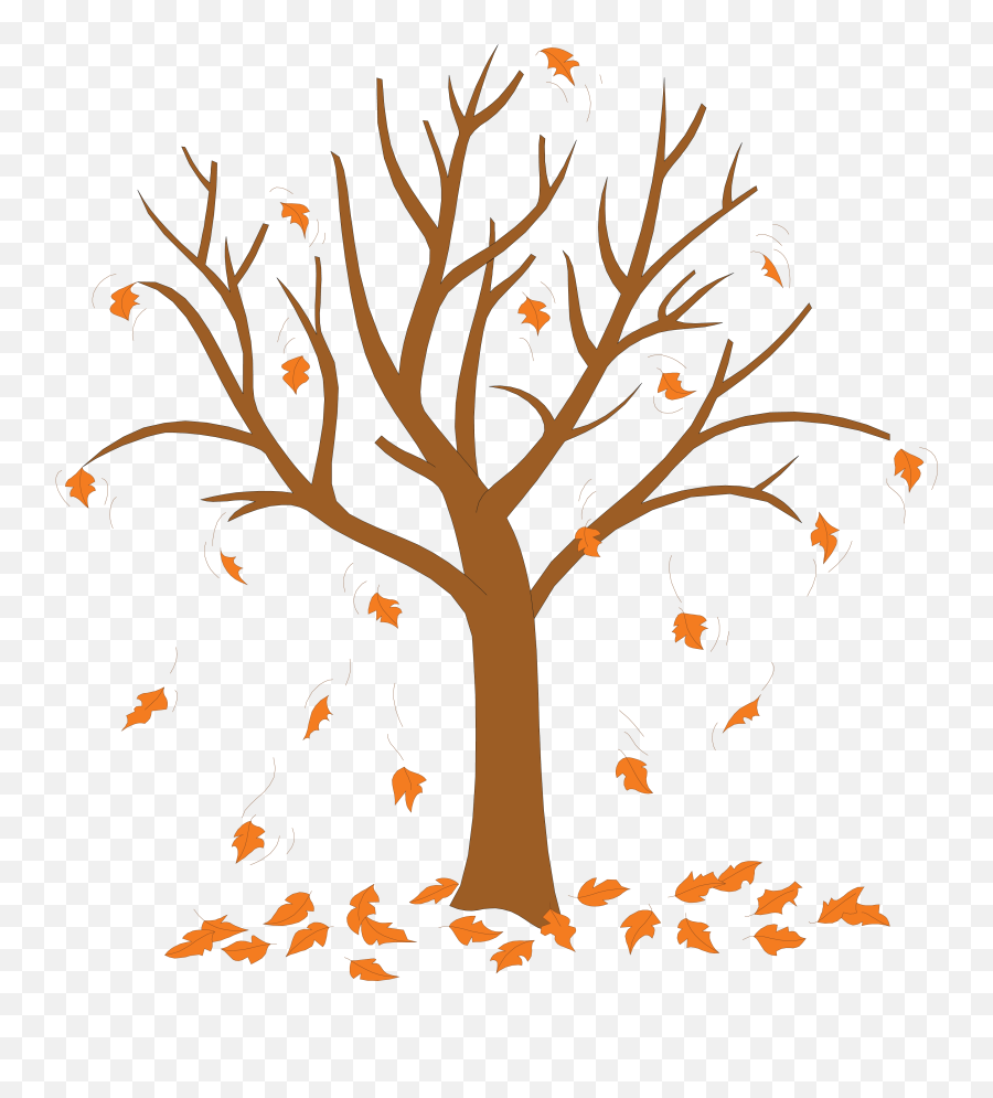 Trees Without Leaves Coloring Pages - Tree With Leaves Cartoon Leaves Falling Off Tree Png,Fall Trees Png