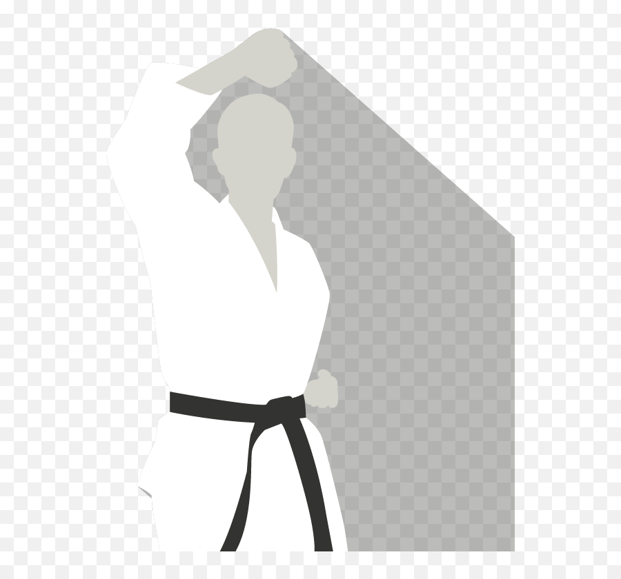 Shukokai Shito - Ryu Karate Questions Ksd Karate Martial Arts Belt Png,Karate Belt Icon