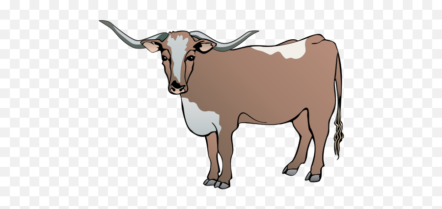 Download Hd Longhorn Cattle Clipart - Draw A Male Cow Png,Longhorn Png