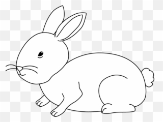 White Rabbit Clipart - Bunny Black And png