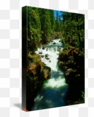3634015842 - Natural Bridge png