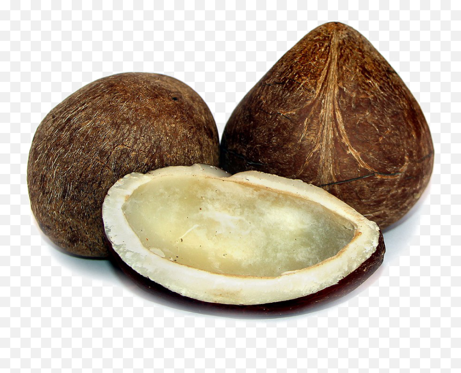 Half Coconut Png Photos Mart - Coconut Copra Png,Coconut Png