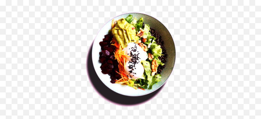 Qibi For Companies - Lettuce Png,Salad Bowl Png