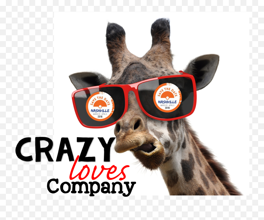 Nitty Gritty Science Taking To Nashville - Giraffe Cool Png,Gritty Png