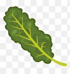 Transparent Background Kale Clipart - Kale Clipart Png,Kale Png