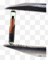 Microchipping - Animal Hospital Of The Woodlands Umbrella Png,Microchip Png