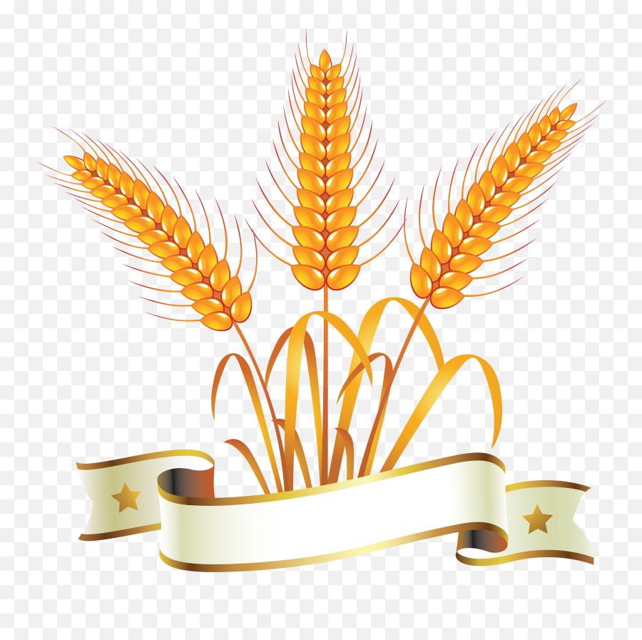 Silver Wheat Symbol Logos Icons - Wheat And Bread Clipart Png,Wheat Logo