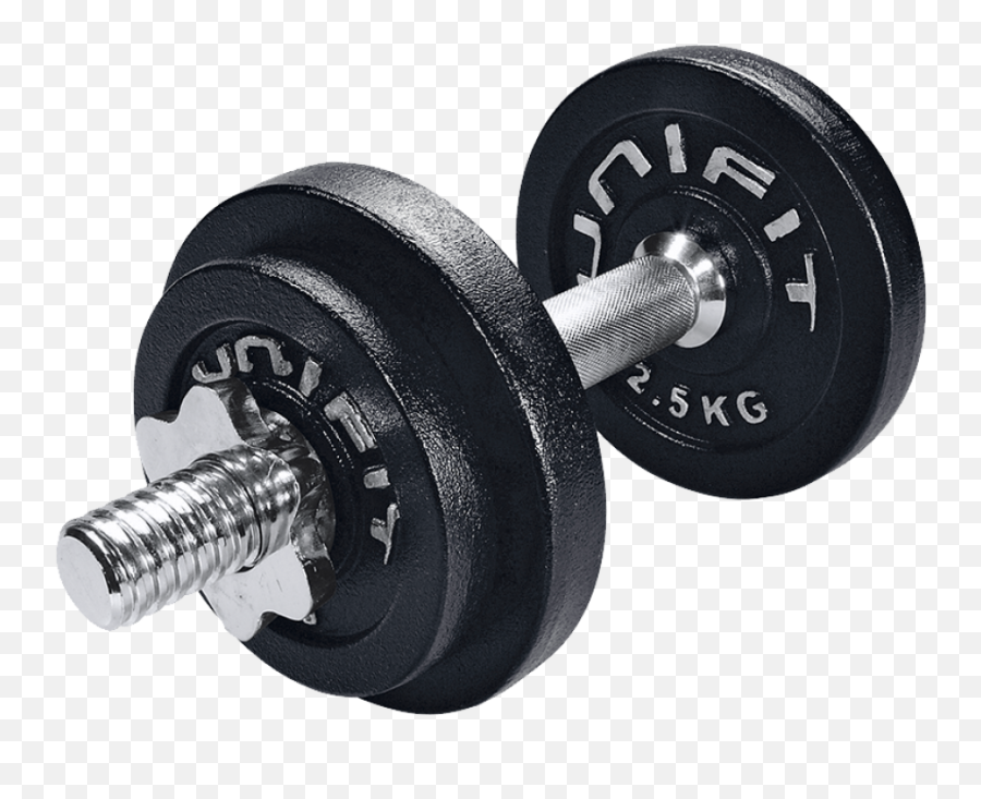 Dumbbell Hantel Png Image - Purepng Free Transparent Cc0,Dumbbell Png