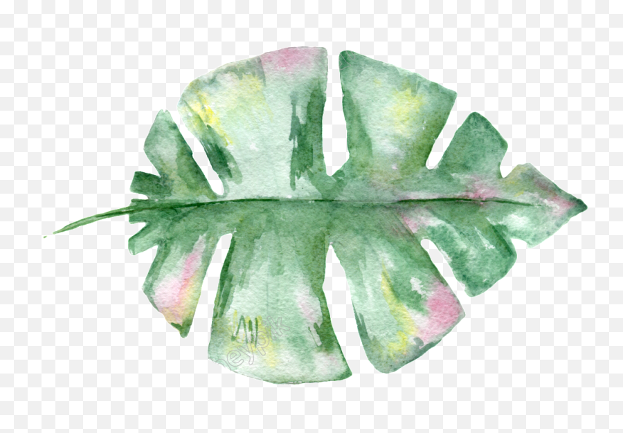 Download Hand Painted Watercolor Leaf Transparent Material Png Leaves