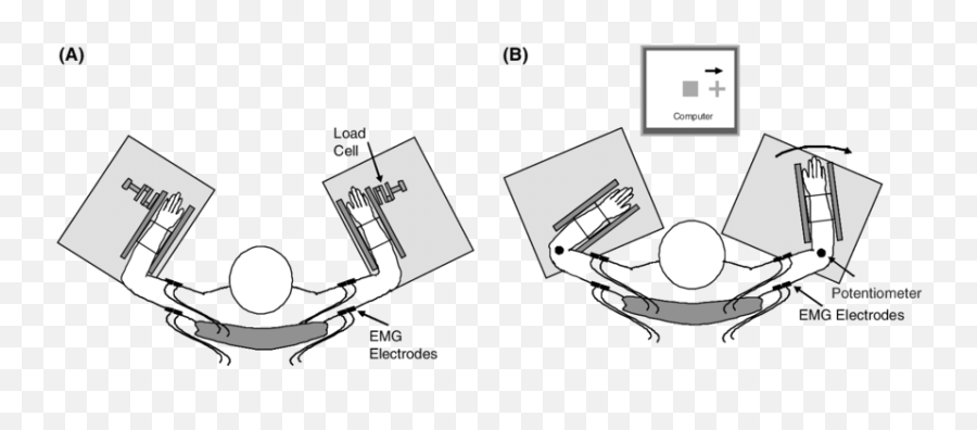 The Setup For A Measuring Muscle Strength Of Biceps And - Measuring Strength Of Biceps Png,Bicep Png