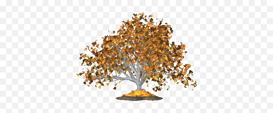 Index Of Userstbalzefall - Family Png,Falling Leaves Gif Transparent