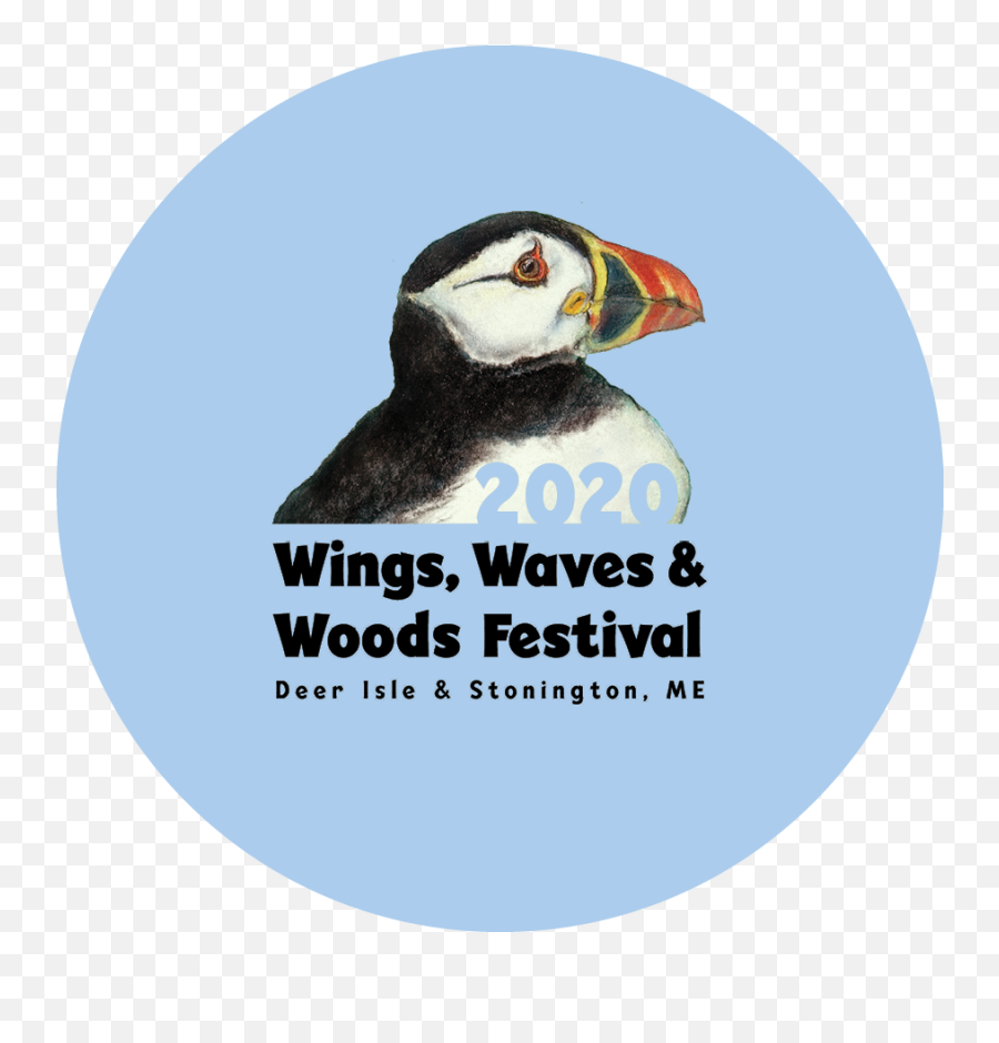 Adopt A Puffin Wings Waves - Atlantic Puffin Png,Puffin Png