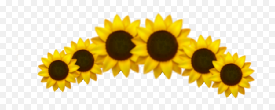 Emoji Sunflower Crown Sticker - Aesthetic Sunflower Crown Png,Sunflower Emoji Transparent