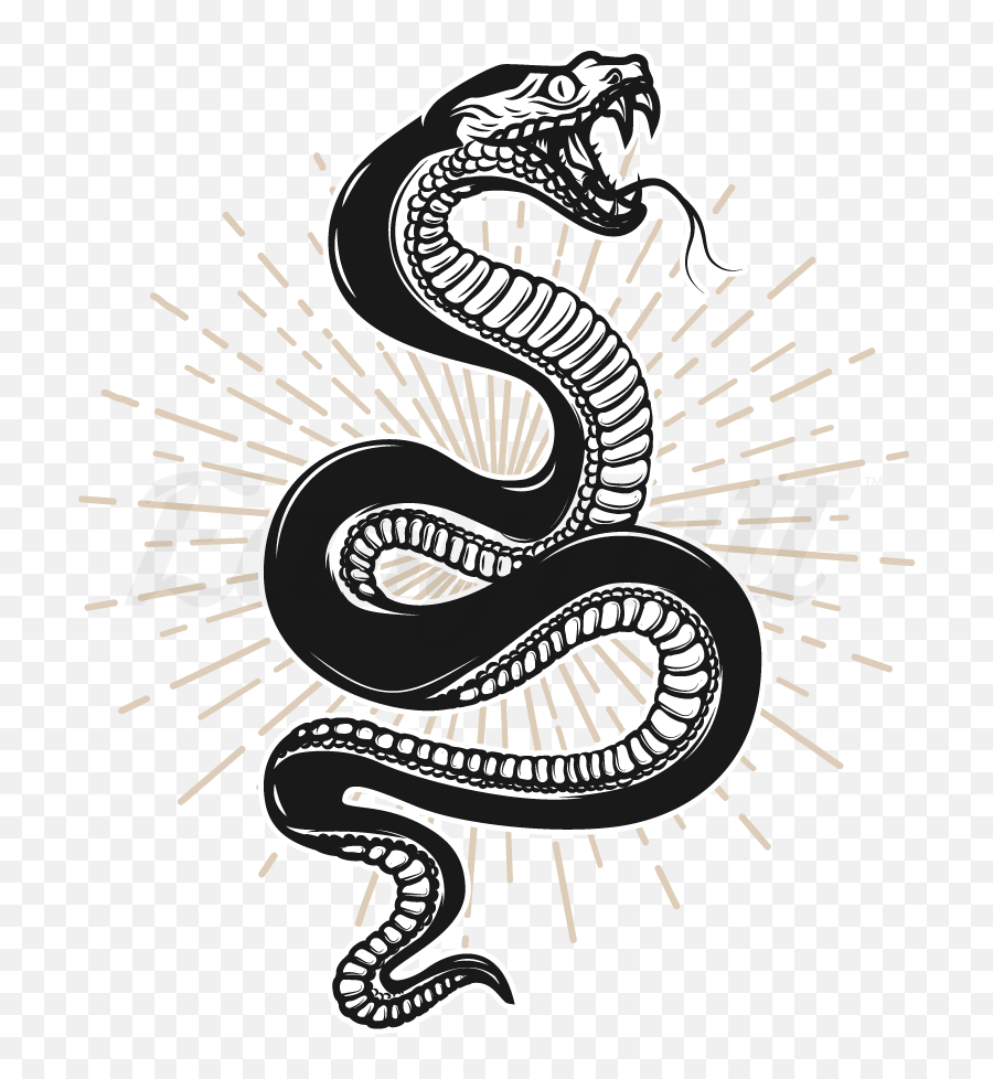 Traditional Snake Temporary Tattoo Png Transparent