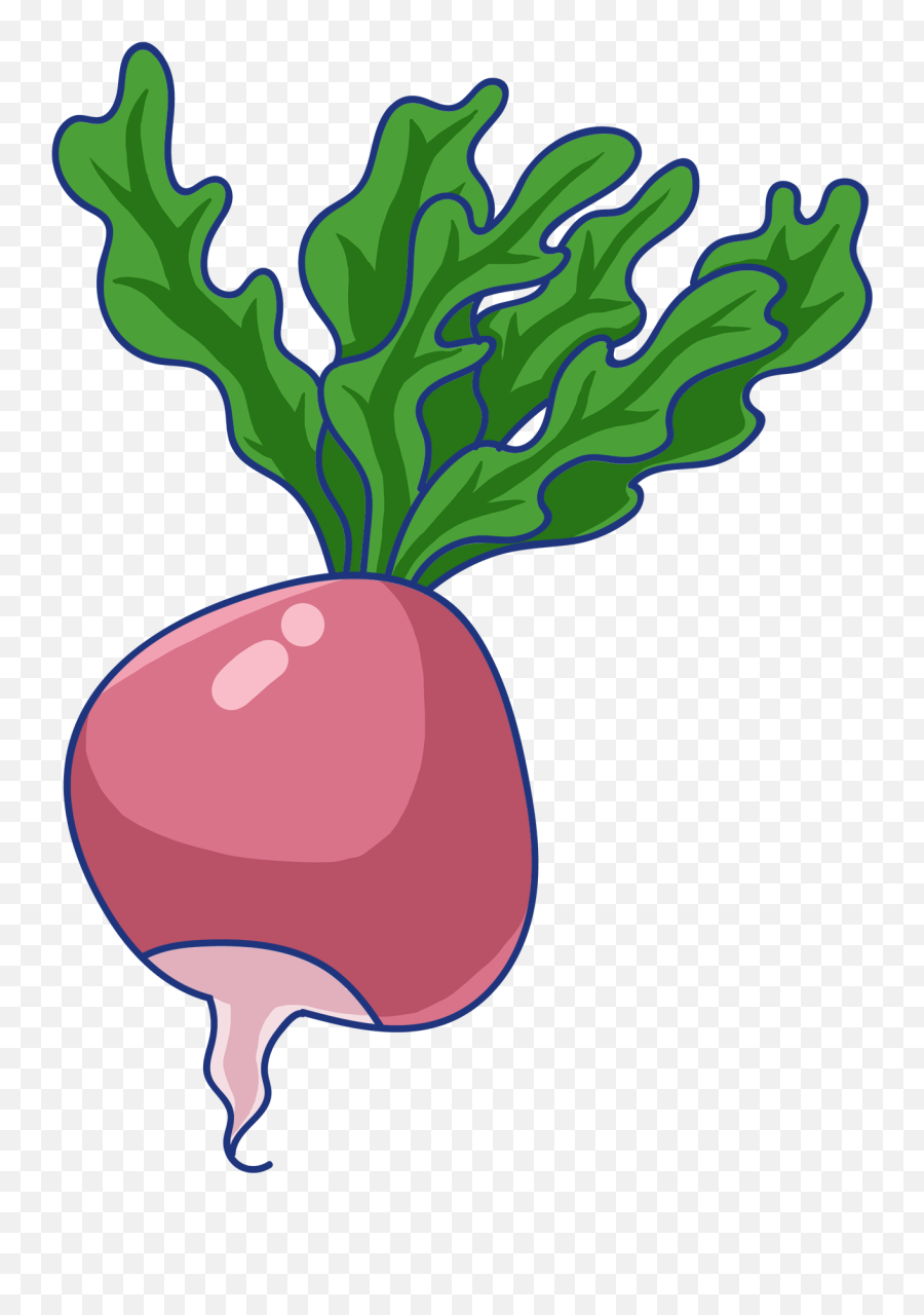 Download Root Red Radish Green Png And - Clip Art,Radish Png