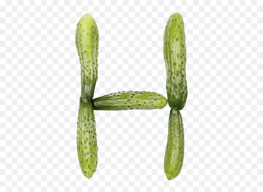 Cucumber Font - Handmadefont Font Cucumber Letters Png,Cucumber Transparent