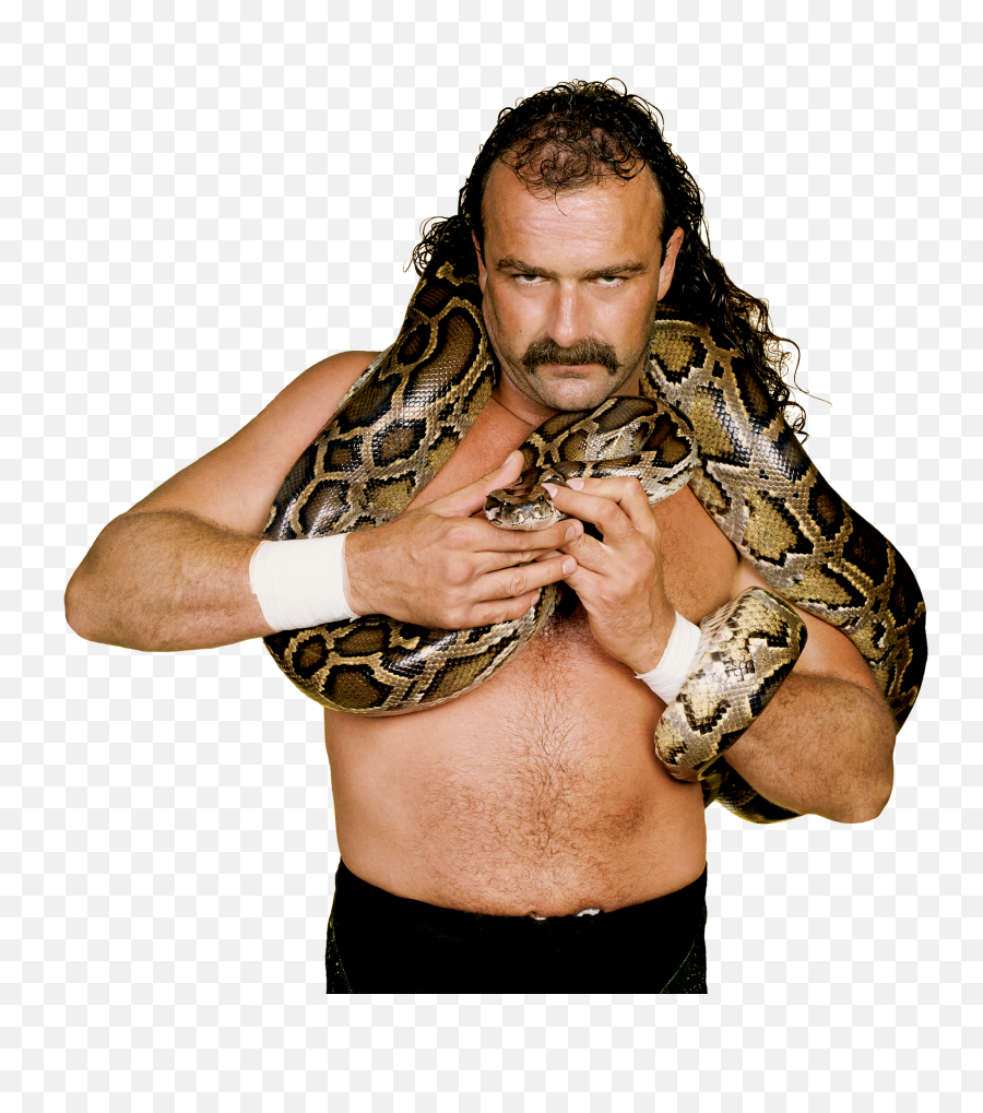 Download Jake The Snake Roberts Pro - Jake The Snake Png Png Jake The Snake Roberts Png,Jake Png