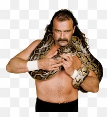 Download Jake The Snake Roberts Pro - Jake The Snake Png Png Jake The Snake Roberts Png,Jake Png