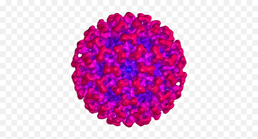 Covid - 19 Virus Png Free Download Png Mart Covid Virus Png Free Download,Download.png Files