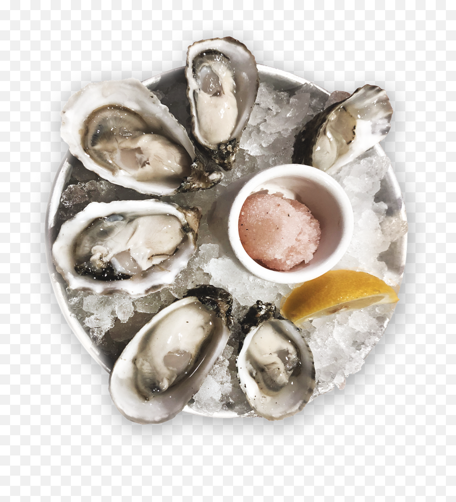 Eat Bc Oysters - Tiostrea Chilensis Png,Oysters Png