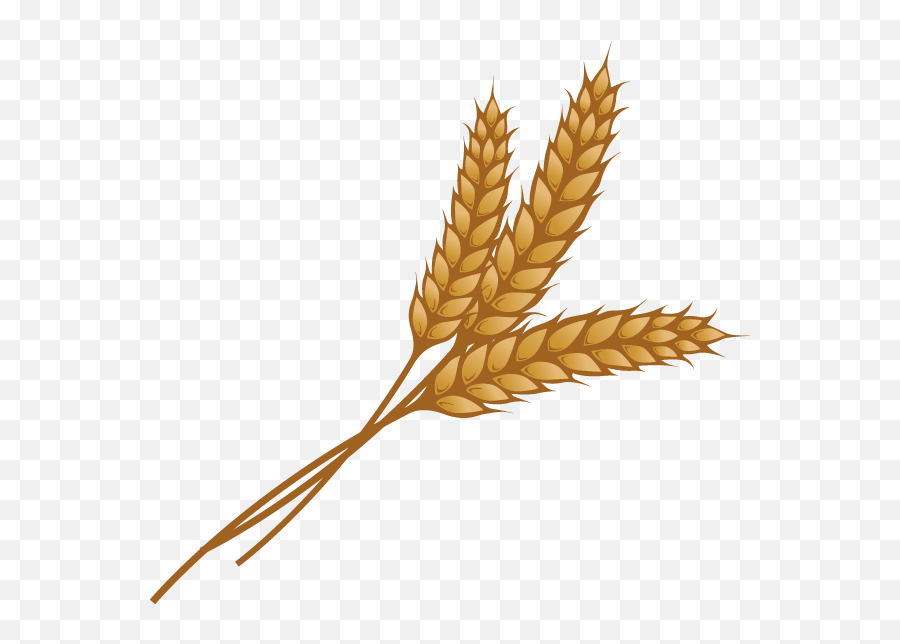 Grain Png Image - Transparent Clipart Wheat,Grain Png