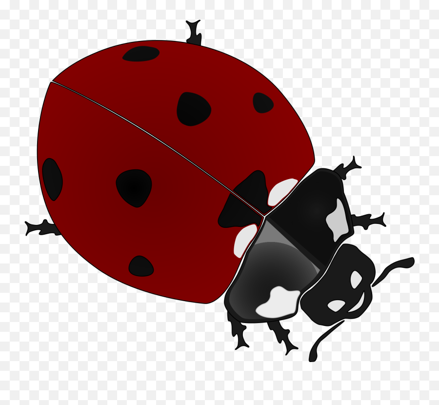 Ladybug 4 Svg Vector Clip Art - Svg Clipart Drawing Png,Transparent Ladybug
