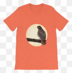 Apparel U0026 Merch U2014 Emac And Hedwig Png