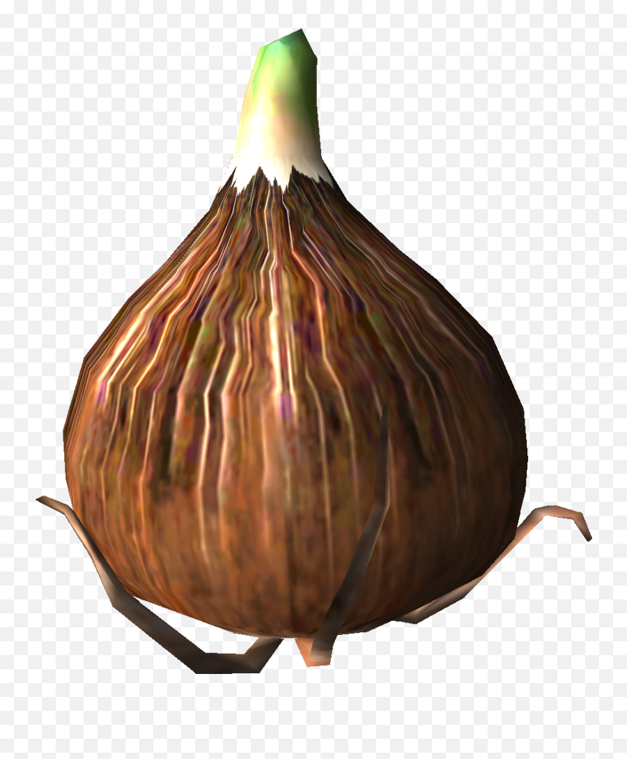 Pilgrim Bulb - Pikipedia The Pikmin Wiki Gourd Png,Pilgrim Png