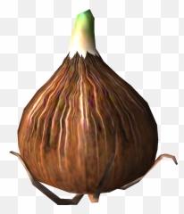 Pilgrim Bulb - Pikipedia The Pikmin Wiki Gourd Png,Pilgrim Png