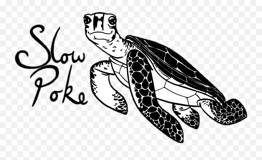 Home - Ridley Sea Turtle Png,Slowpoke Png