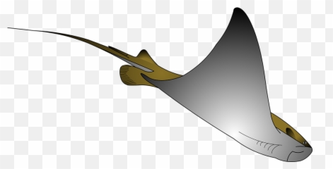 Sea Ocean Ray Png Stingray