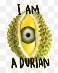 Download Hd Epic Durian Stickers - Fresh Png,Durian Png