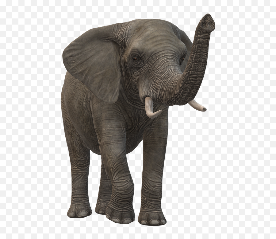 Elephant Icon - Animal Figure Png,Elephant Icon