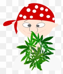 Pirate Boy Avatar Cannabis Euphoria Marijuana - Free Vector Nuove Immagini png