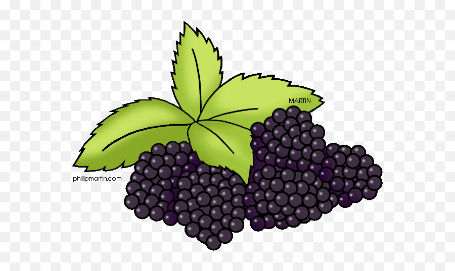 Blackberry Fruit Png Pic Mart - Clip Art,Fruit Clipart Png