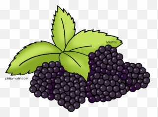 Blackberry Fruit Png Pic Mart - Clip Art,Fruit Clipart Png