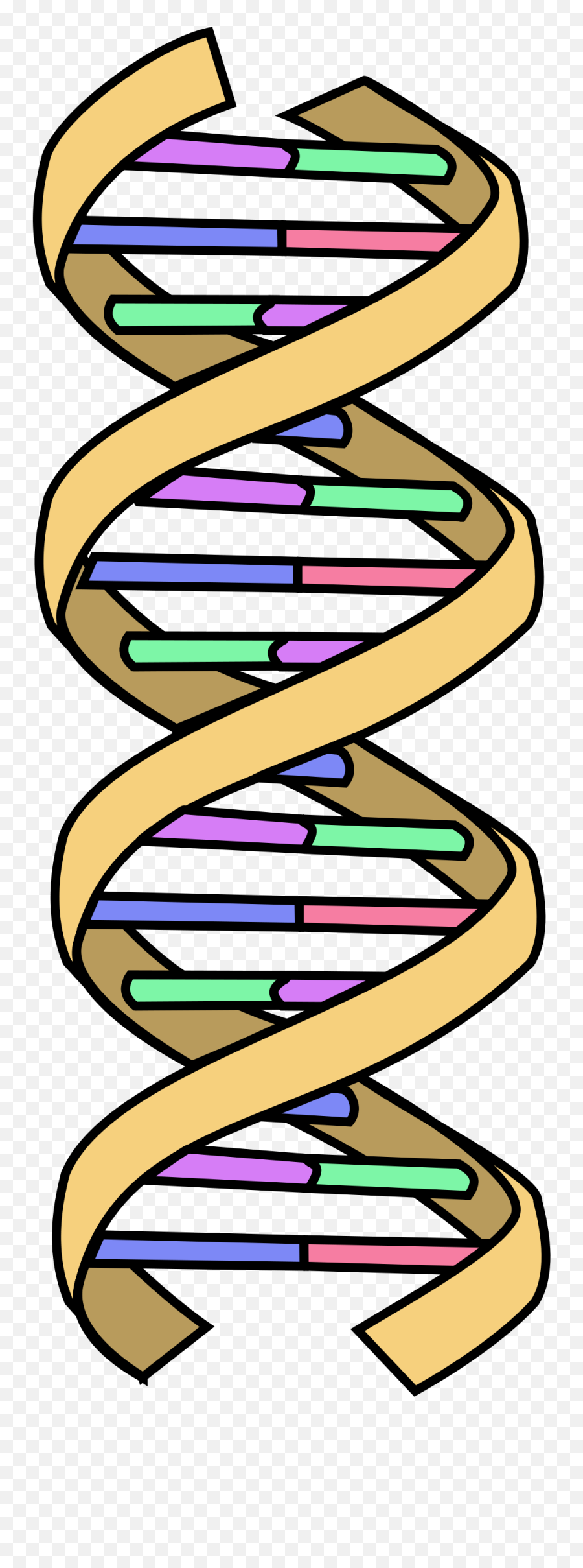 Dna Simple - Double Helix Dna Simple Png,Dna Strand Icon