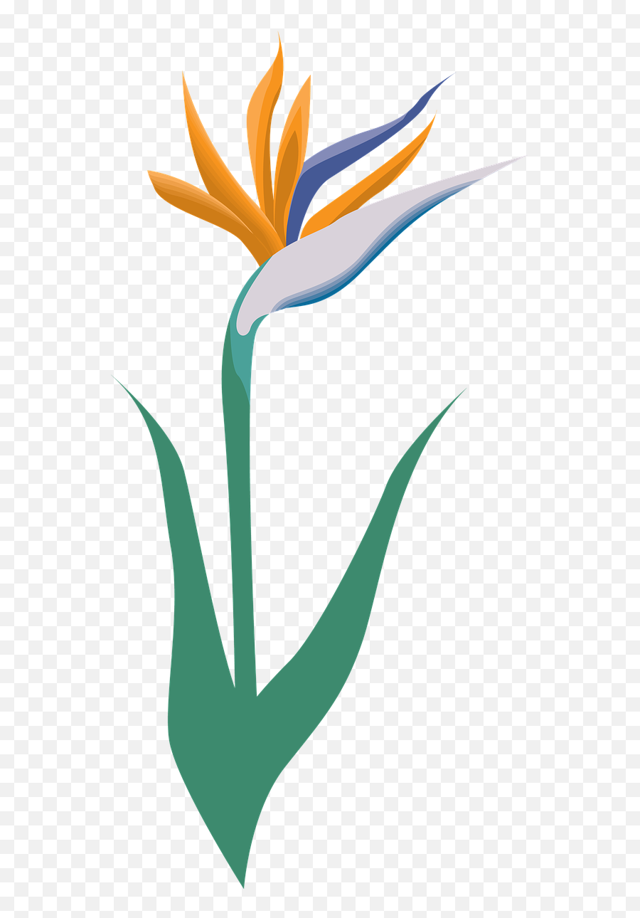 Flower Icon Symbol - Free Image On Pixabay Flower Png,Blue Flower Icon