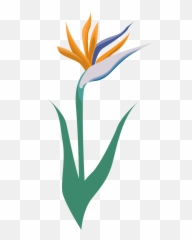 Flower Icon Symbol - Free image Pixabay png