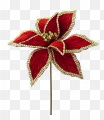 12 Velvet Leopard Print Poinsettia Pick - Decorative Png,Poinsettia Icon