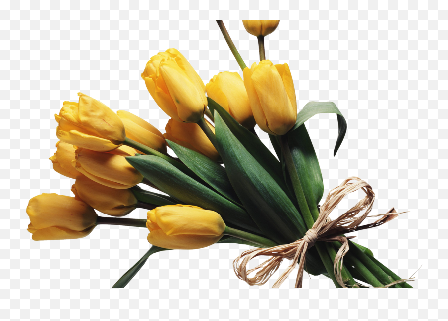 Download Bouquet Flowers Png - Bouquet Flowers Transparent Background,Bouquet Of Flowers Png