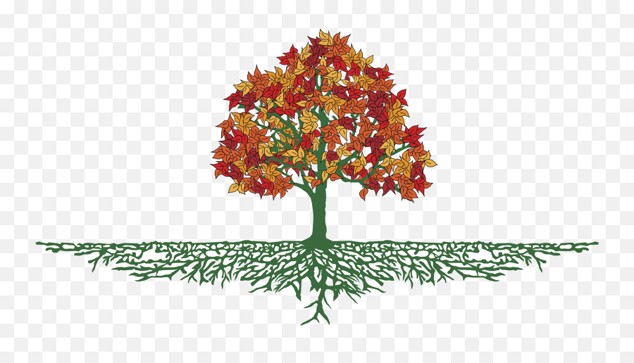 Swing Clipart Banyan Tree - Autumn Tree With Roots Png Fall Tree With Roots,Fall Trees Png